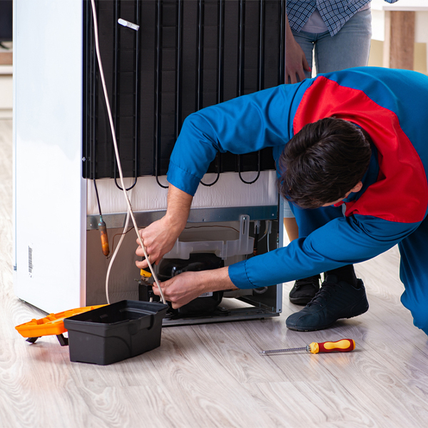 what are the common refrigerator repair services in Newell